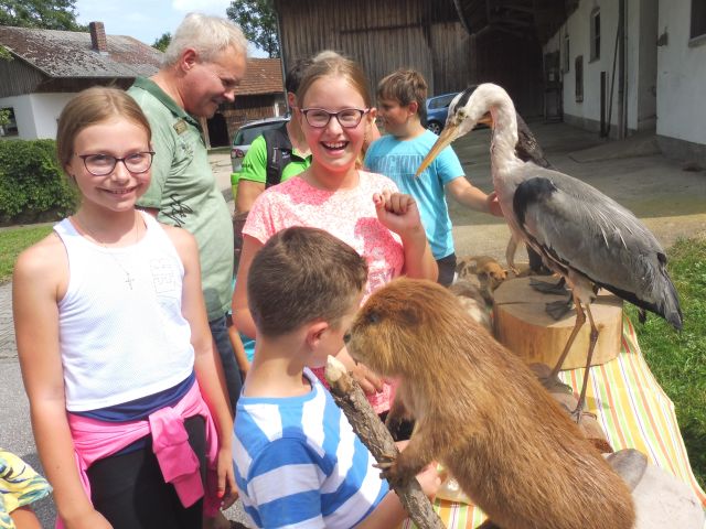 Ferienfreizeit OGV Tierschau